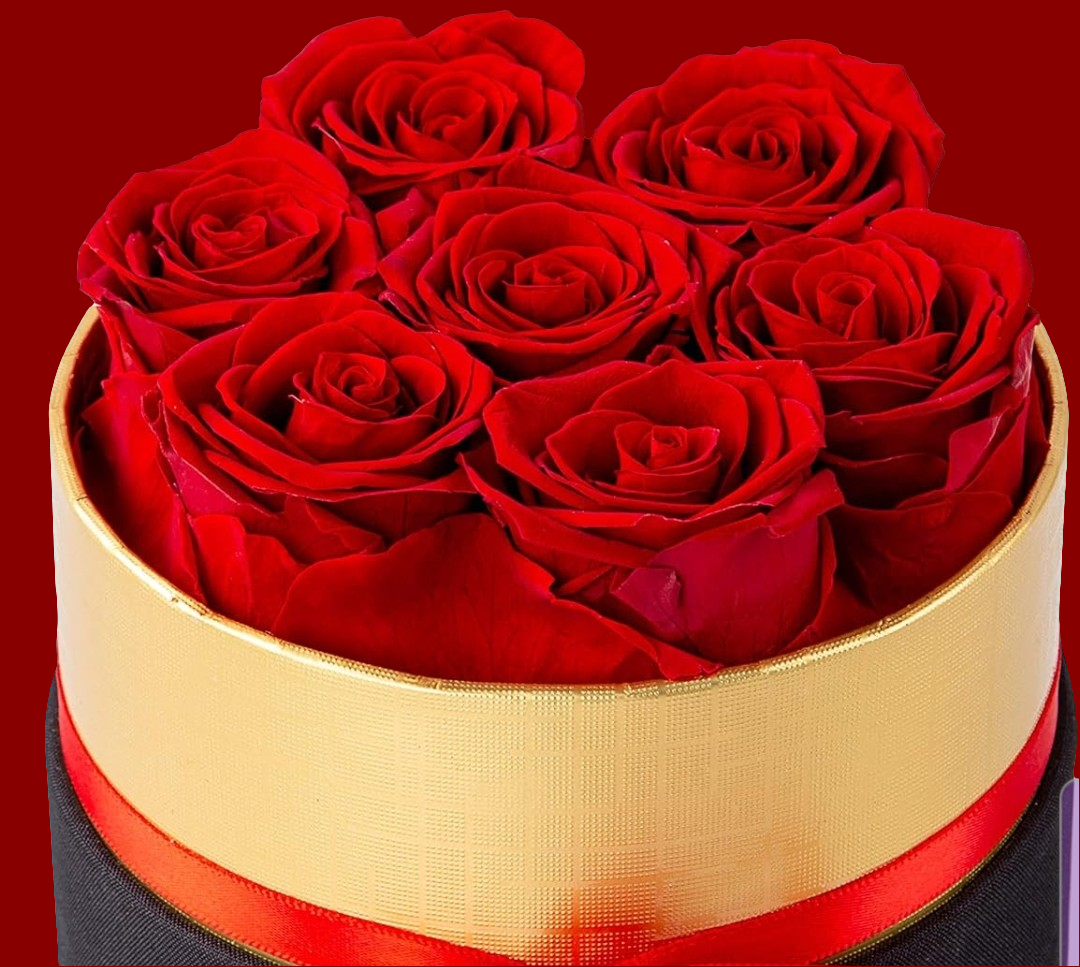 Red preserved flowers 7 in a gift black box