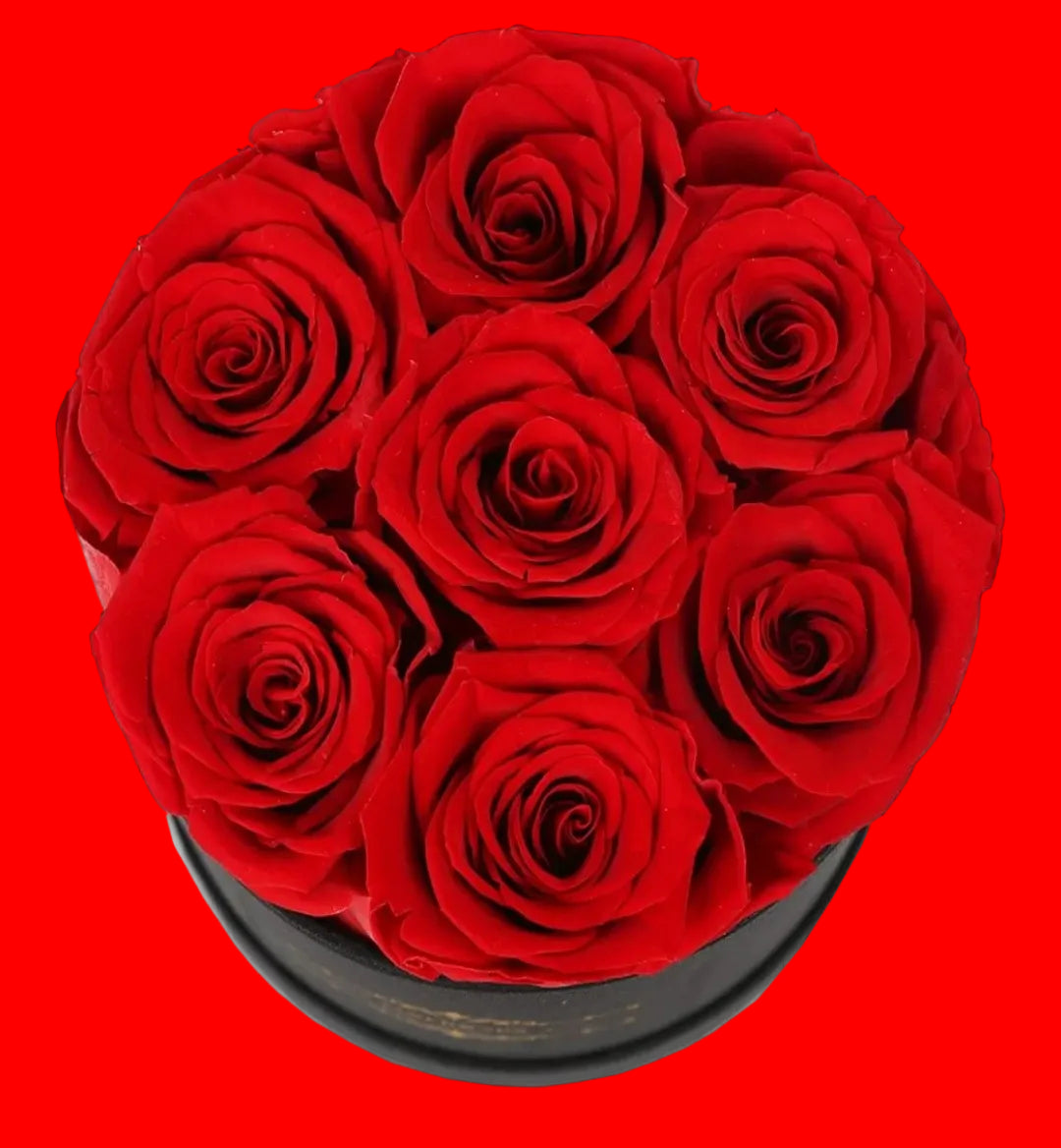 Red preserved flowers 7 roses in a gift black box.