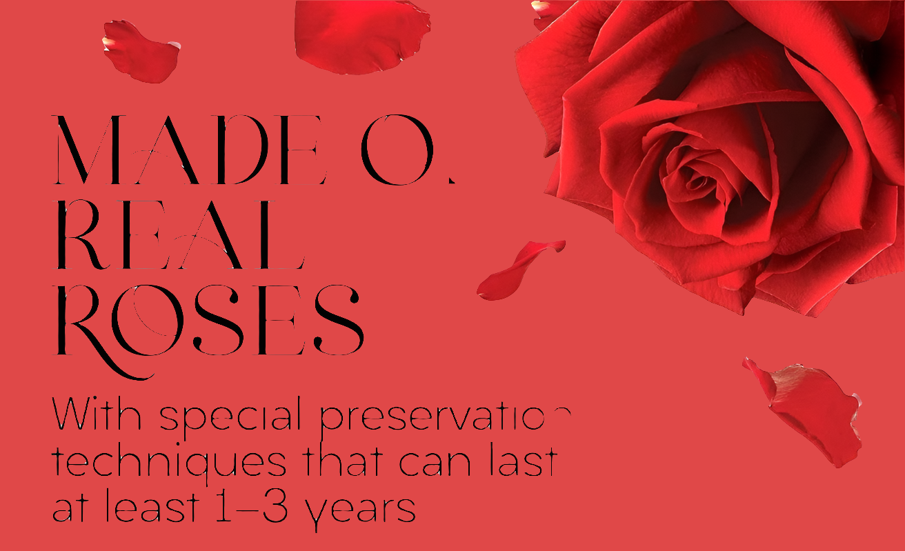 Red preserved flowers 7 in a gift black box