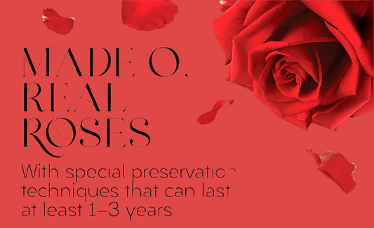 Red preserved flowers 7 in a gift black box