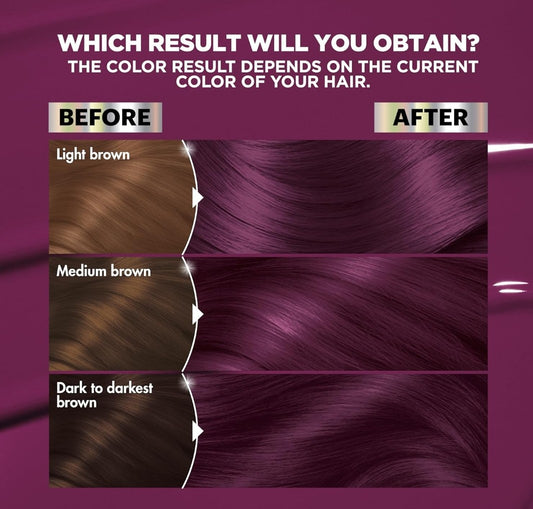 Garnier Hair Color  Dark Intense Violet V2 Vegan Formula
