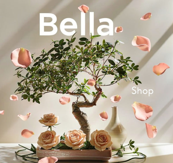 BELLA,SHOP
